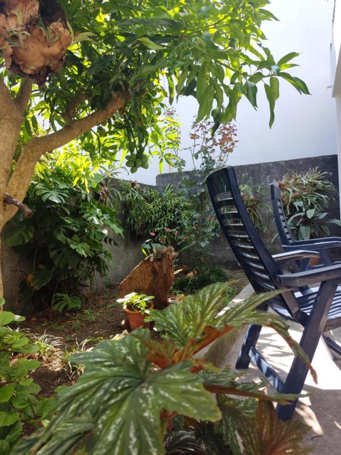 Casa Da Avo Rosa Leilighet São Vicente Eksteriør bilde