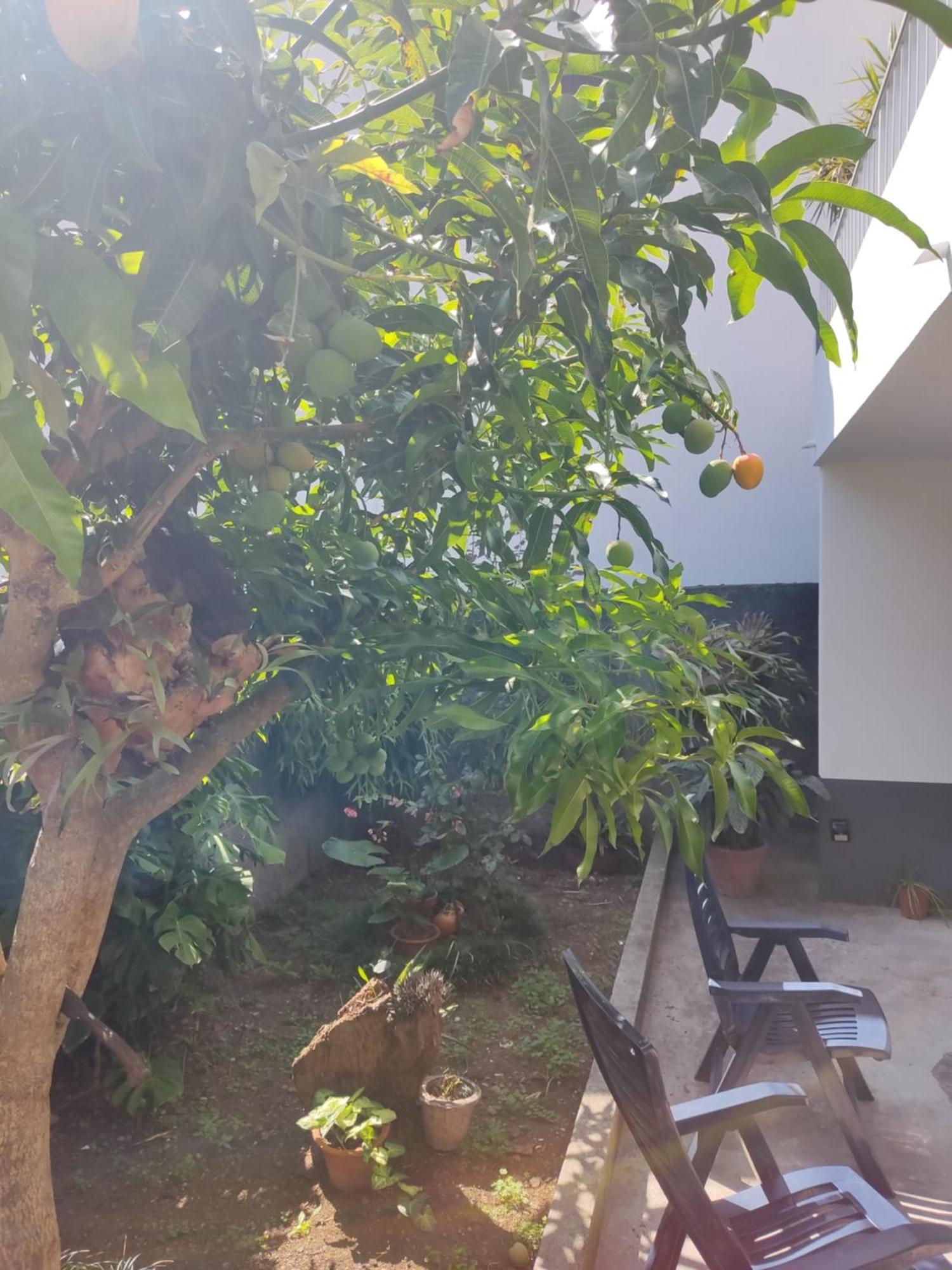 Casa Da Avo Rosa Leilighet São Vicente Eksteriør bilde
